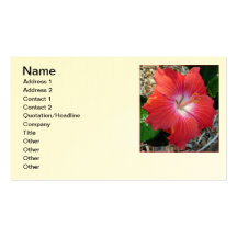 Hawaiischer Hibiskus Visitenkarten Vorlagen