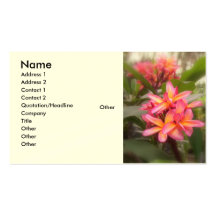 Hawaiischer Plumeria Visitenkarten Vorlage