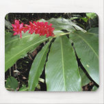 Hawaiischer roter Ingwer Mauspad