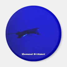 Hawaiischer Stingray Kühlschrankmagnet