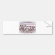HDR Strand-Strand-Ozean-Seelandschaftliche Seemöwe Auto Sticker