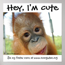 He, bin ich niedlicher Baby-Orang-Utan Plakatdrucke