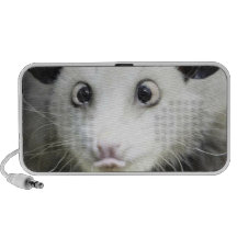 Heidi das quere mit Augen Opossum Laptop Speaker