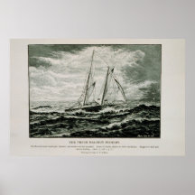Heilbutt Schooner Plakatdrucke