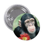 Heiraten Sie mich? Button
