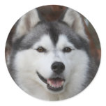Heiserer Hundeaufkleber aufkleber