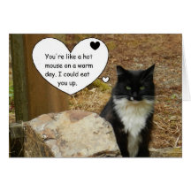 Heißer Mäusekatzen-Valentinsgruß Grußkarten