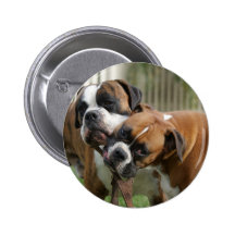 Helfen beim Reißnagel Buttons