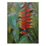 "Heliconia Hinterpostkarte "