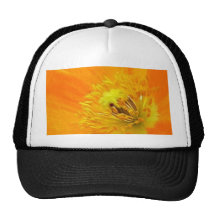 Herauf nahes - Island-Mohnblume Baseball Caps
