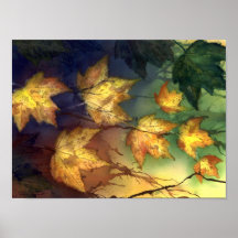 Herbst-Ahorn-Blätter Posterdrucke