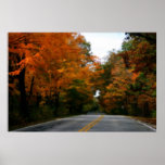 Herbst auf einer Land-Straße Posterdrucke