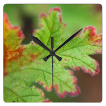 Herbst-Blatt