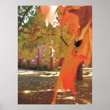 Herbst-Blatt-Wasser-Farbe Posterdruck