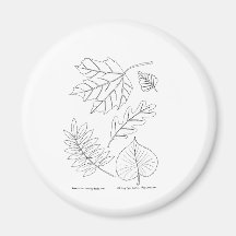 Herbst-Blätter Kühlschrankmagnet