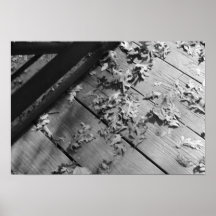 Herbst-Blätter Poster