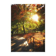 Herbst-Central Park New York City Leinwand Drucke