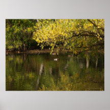 Herbst in Beus Teich Poster