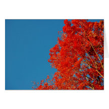 Herbst Karte