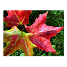 Herbst kommt an postkarten