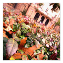 Herbst Photographie
