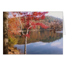 Herbst-Schönheit Grußkarten