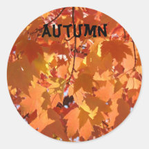 Herbst verlässt Aufklebern orange Fall-Baum-Blätte