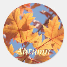 Herbstaufkleber orange Herbst verlässt blauen Himm