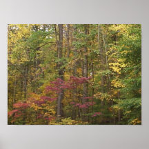 Herbstfarben-Druck Posterdruck
