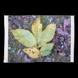 Herbstlaub-Küchen-Tuch geschirrtücher