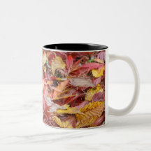 Herbstlaub-Tee-Schale Kaffee Tasse