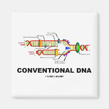 Herkömmliche DNS (DNS-Reproduktion) Kühlschrankmagnete
