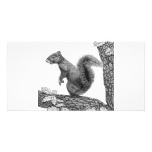 Herr Squirrel - Foto-Karte Fotokarte