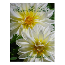 Herrliche Dahlie-Save the Date Postkarte