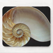 Herrliche Nautilus-Muschel Mauspads