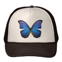 Herrlicher blauer Morpho Schmetterling Baseball Mütze