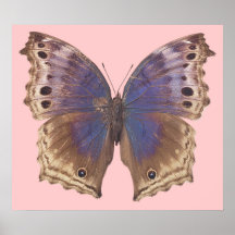 Herrlicher lila Schmetterlings-Plakat-Druck