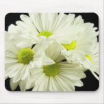 Herrliches Gänseblümchen Mousepad