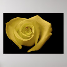 Herz-geformte Rose, gelb Plakat