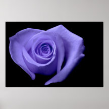 Herz-geformte Rose, lila Plakatdruck