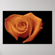 Herz-geformte Rose, orange Plakatdrucke