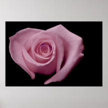 Herz-geformte Rose, rosa Plakatdruck