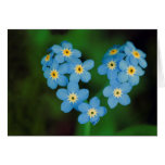 Herz-geformte Vergissmeinnicht-Blumen Karten