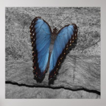 Herz-geformter Schmetterling Plakat