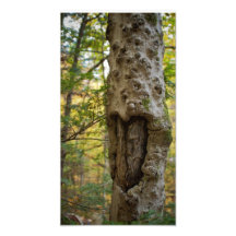 Herz geschnitzter Baum Photographischer Druck
