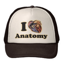 Herz I Anatomie-Wissenschafts-SuperAussenseiter-Le Trucker Caps