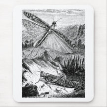 Heuschrecken-Heuschrecken-Vintager hölzerner Stich Mousepads