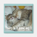 Heutiger Tag ist ein guter Tag! Katzen-Magnet Kühlschrankmagnet