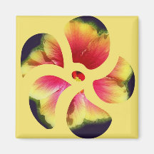 Hibiskus-Blumen-Blumenblätter Magnete