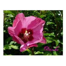 Hibiskus Danke Danksagung Postkarte